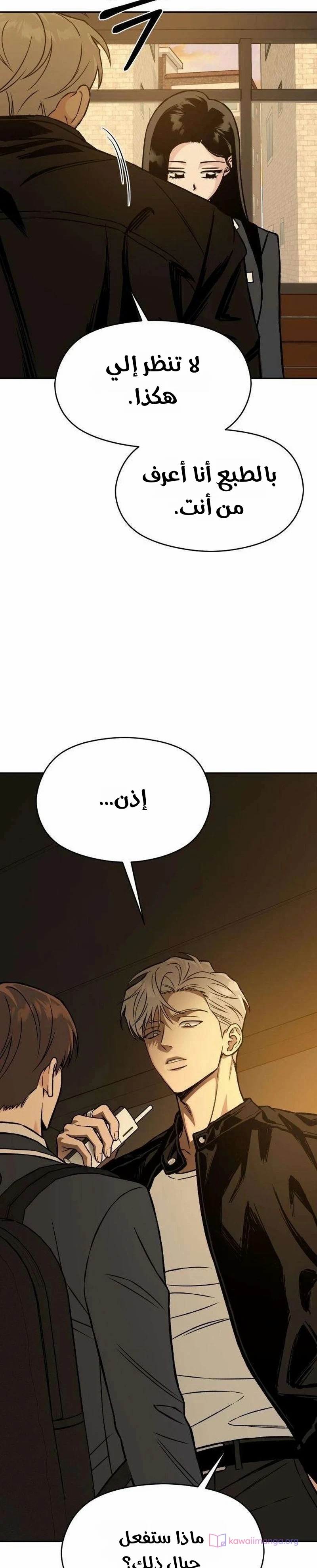 الصفحة 3