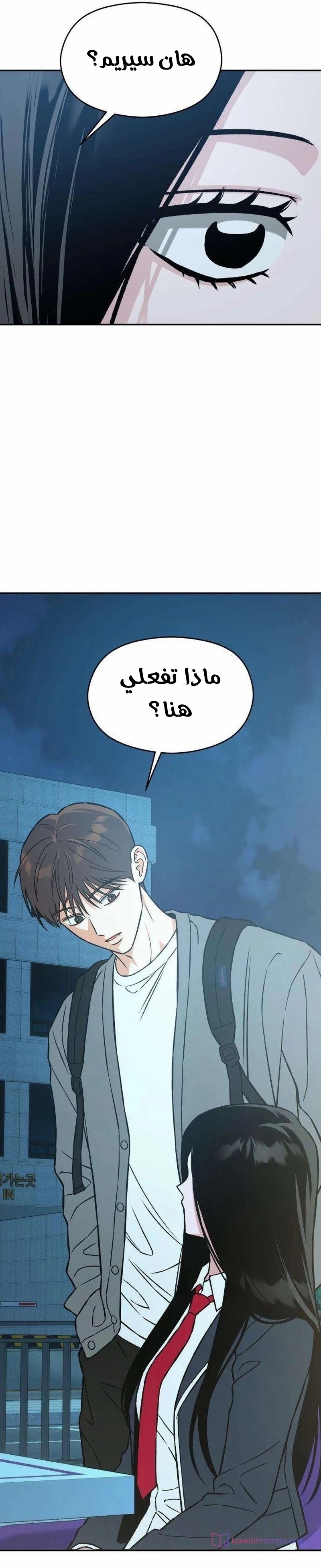 الصفحة 21