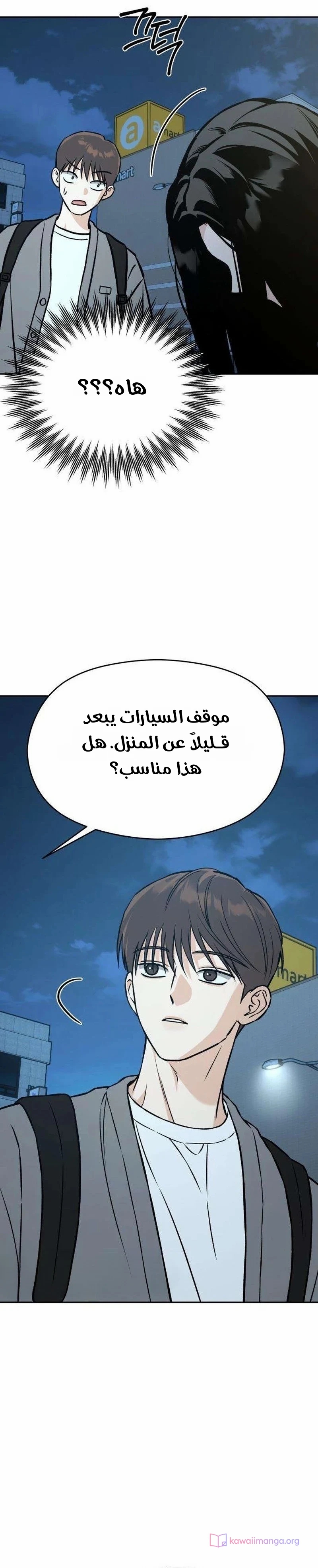 الصفحة 30