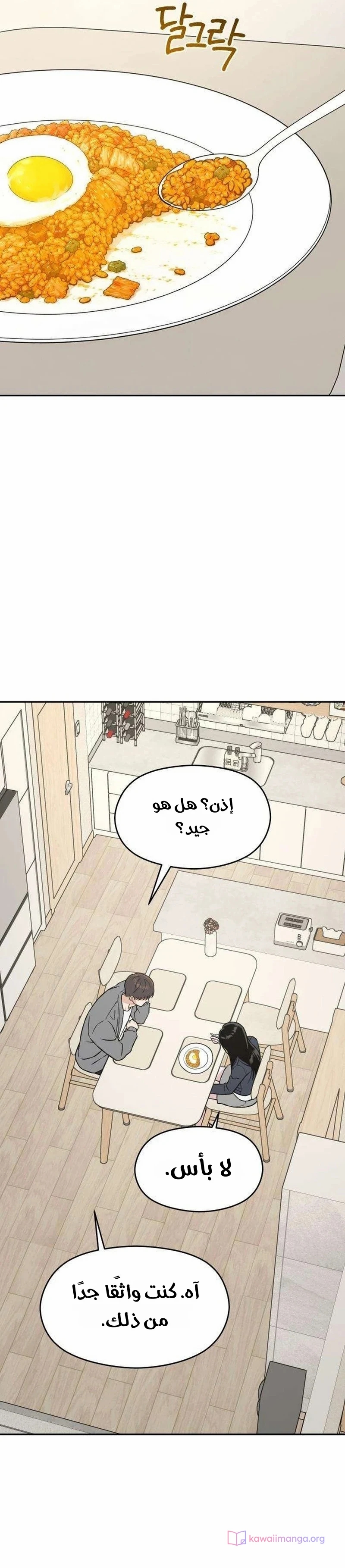 الصفحة 41