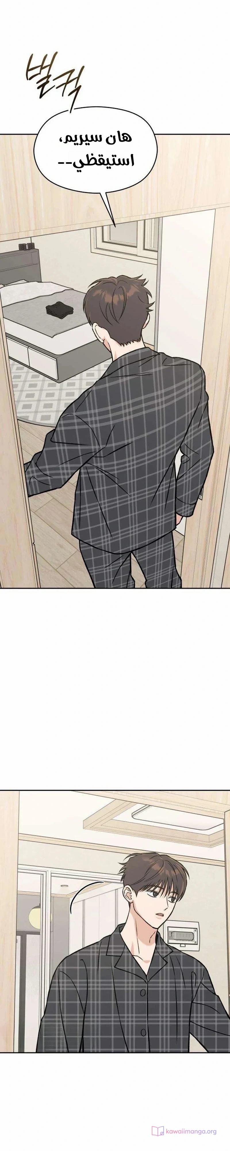 الصفحة 11