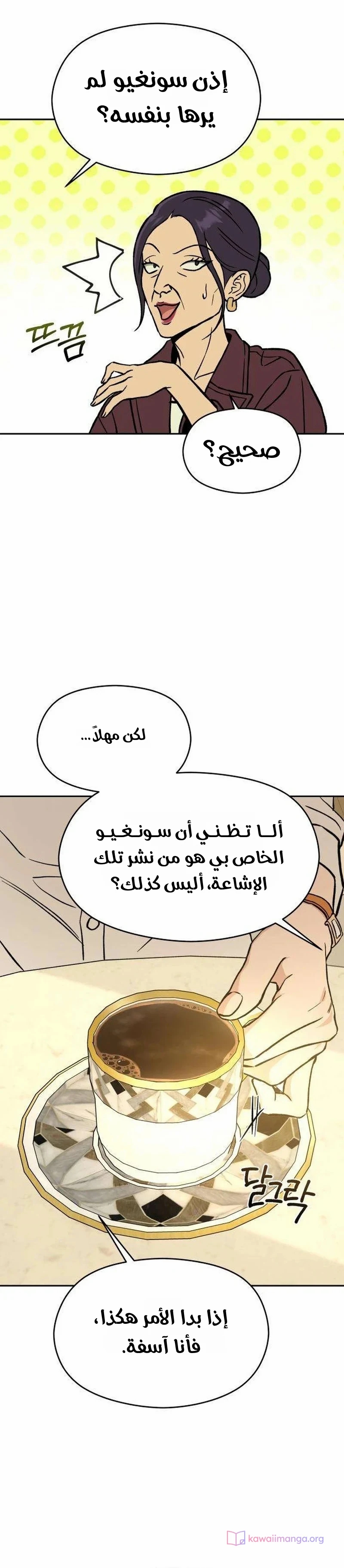 الصفحة 15