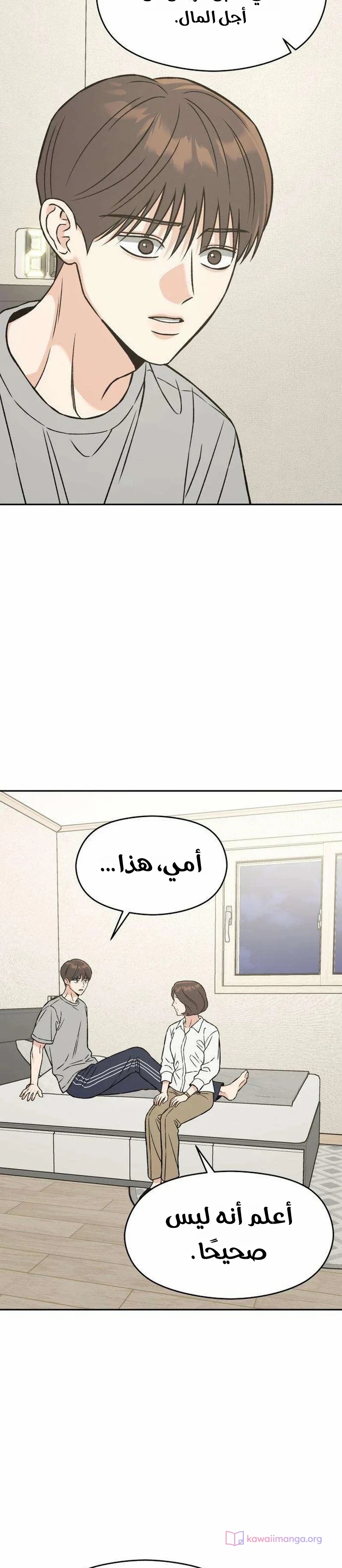 الصفحة 20
