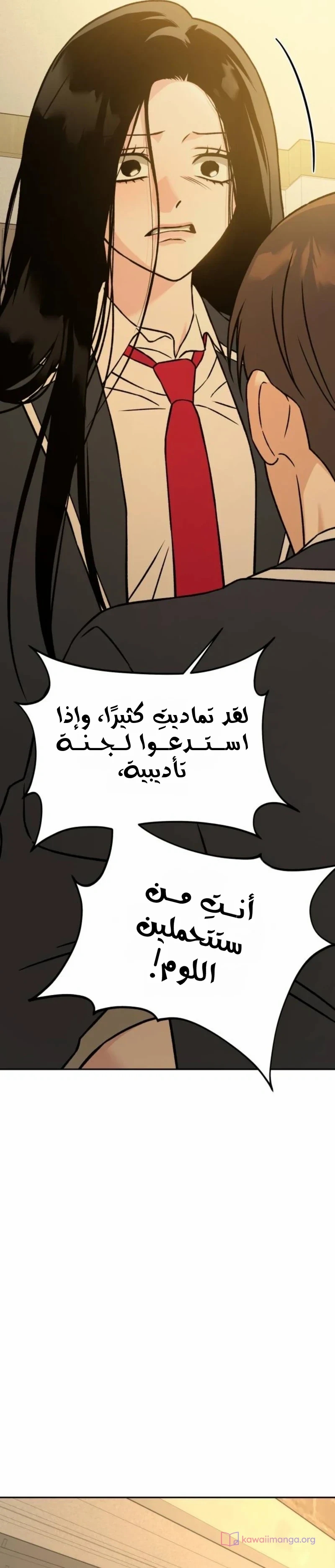 الصفحة 17