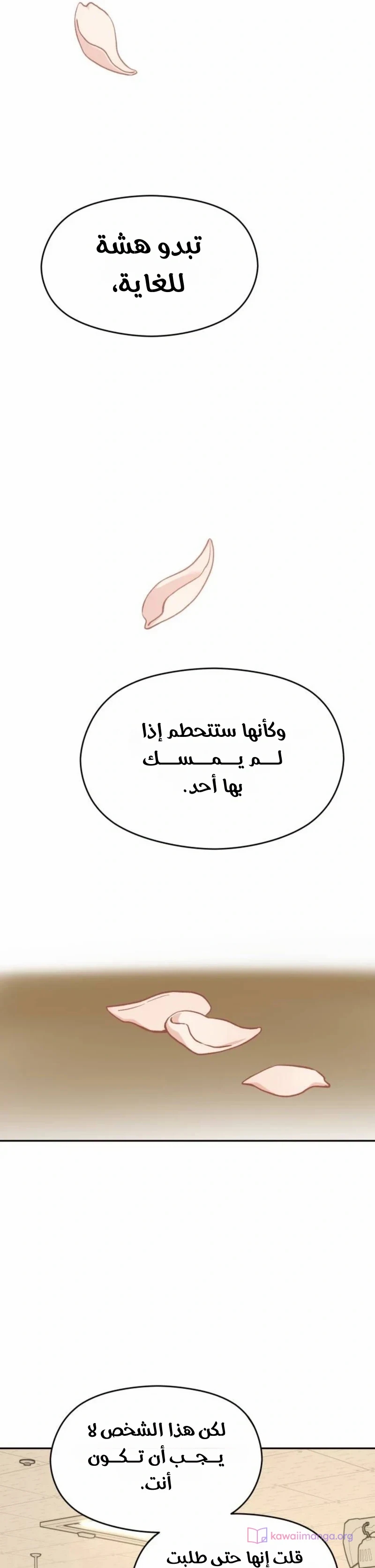 الصفحة 29