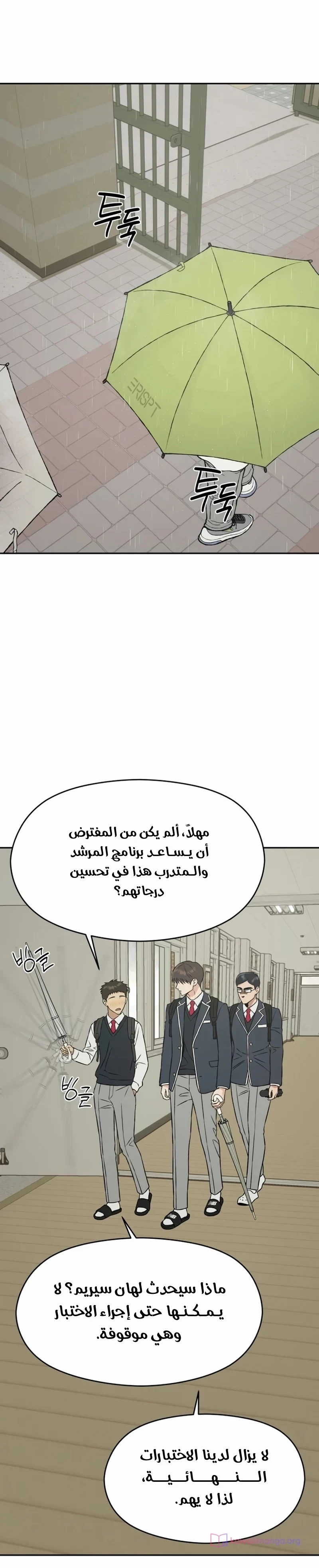 الصفحة 19
