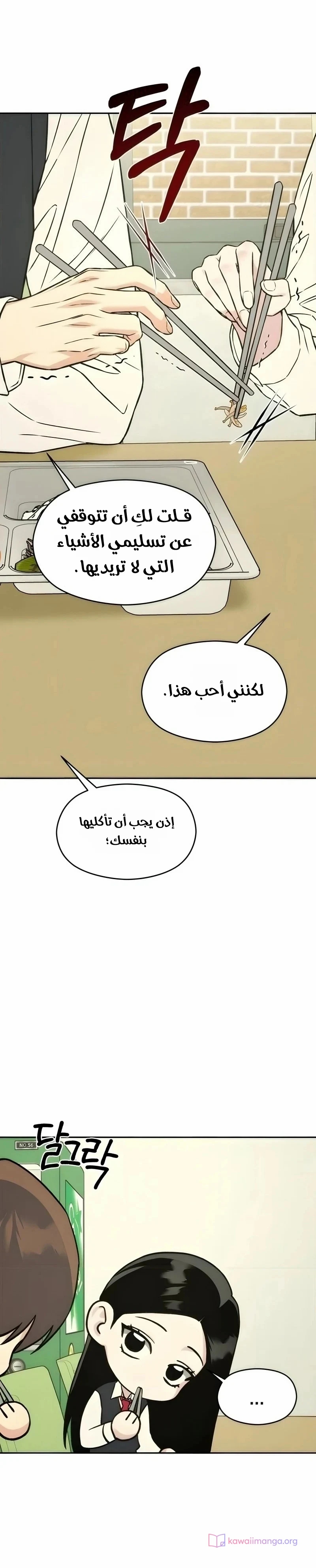 الصفحة 29