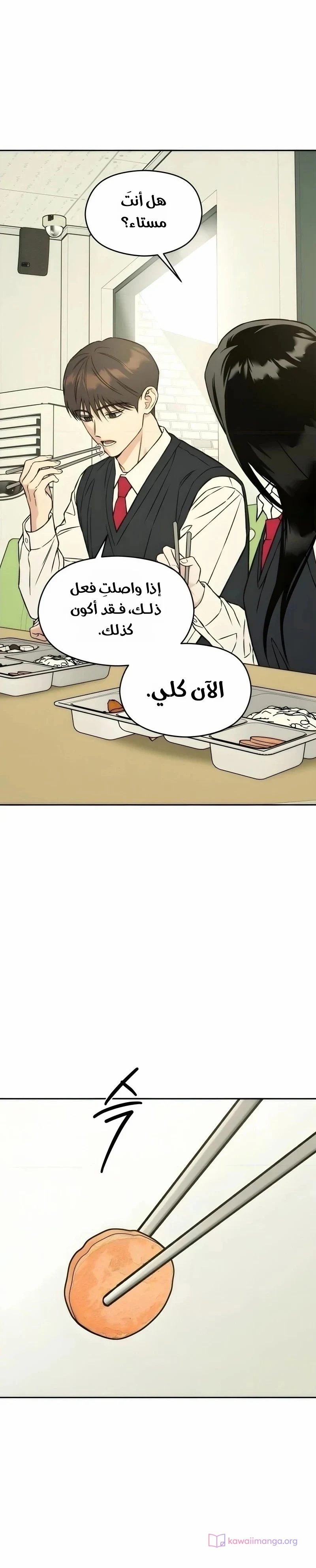 الصفحة 30