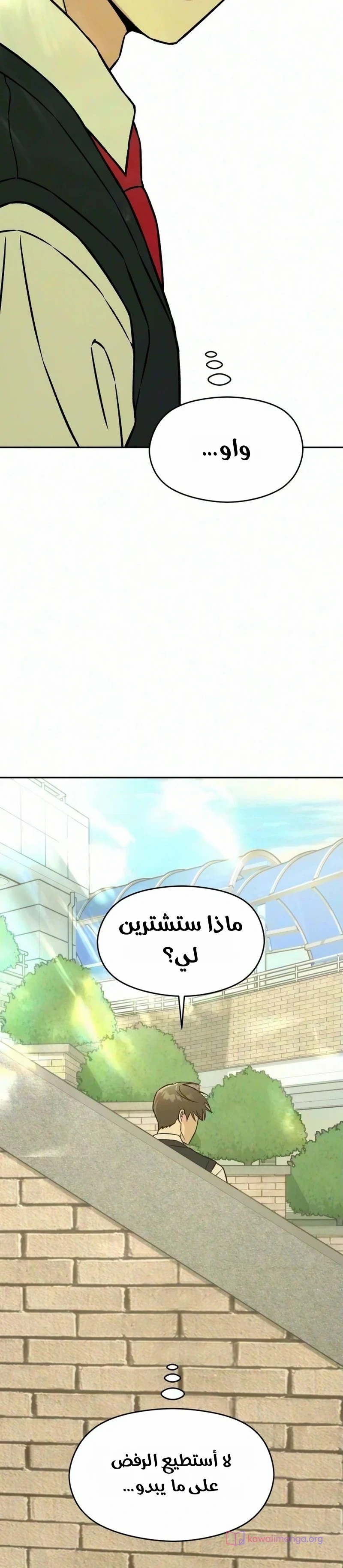 الصفحة 52