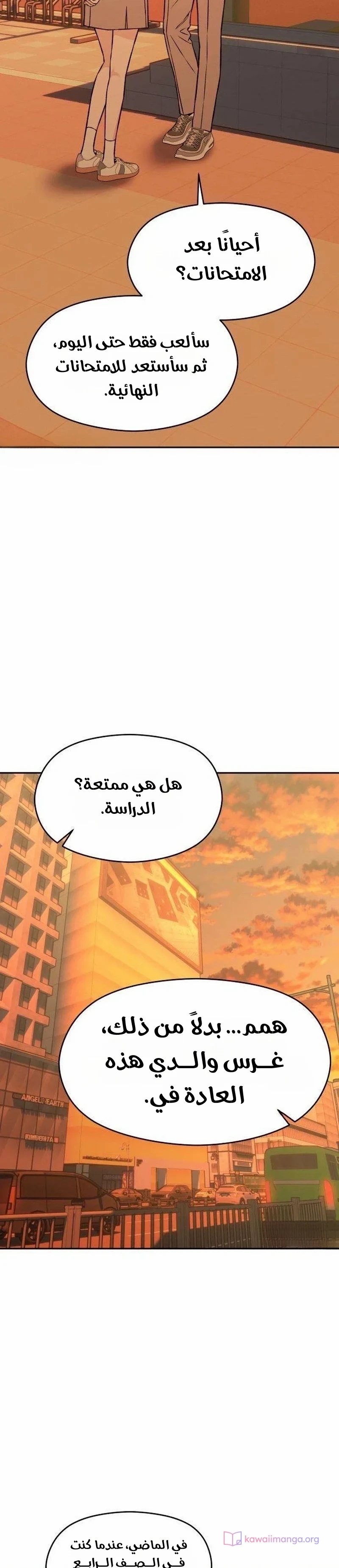 الصفحة 13