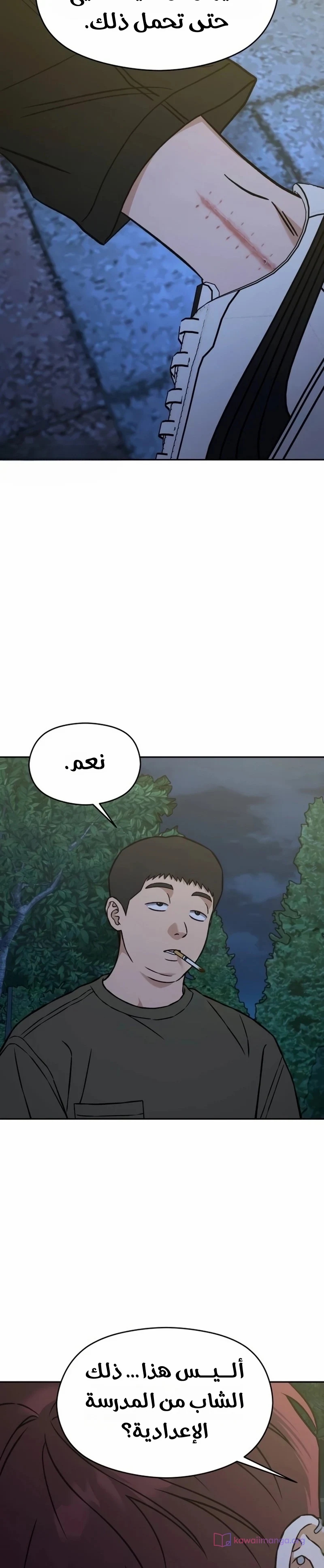 الصفحة 14