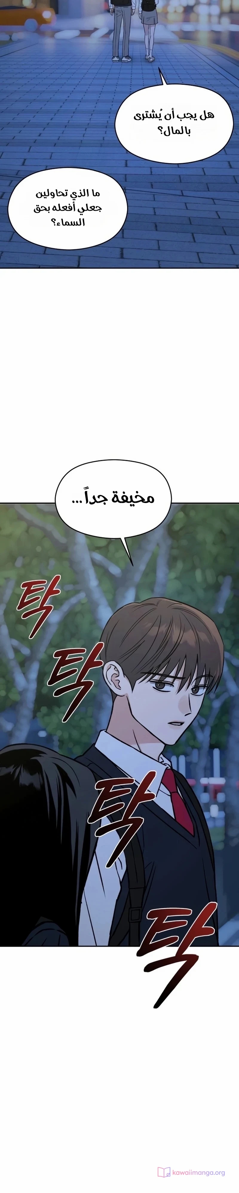 الصفحة 17