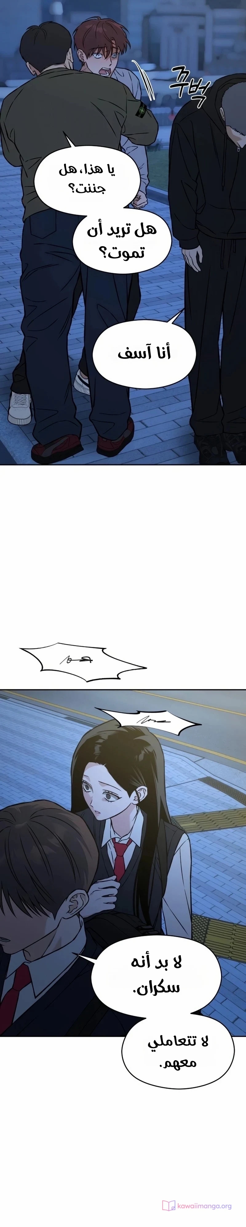 الصفحة 20