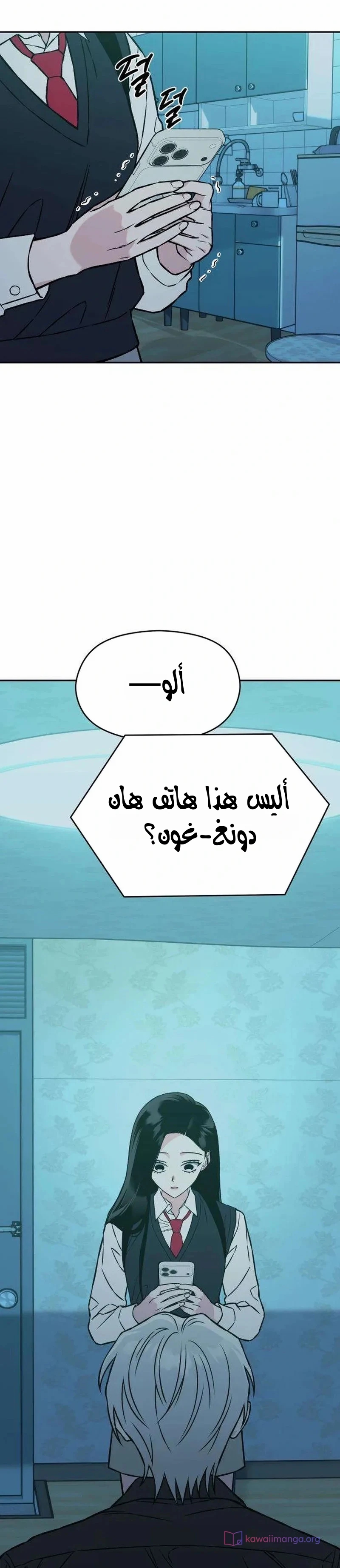الصفحة 13
