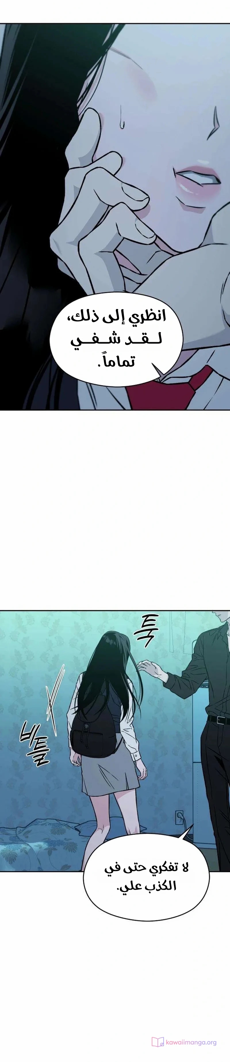 الصفحة 17