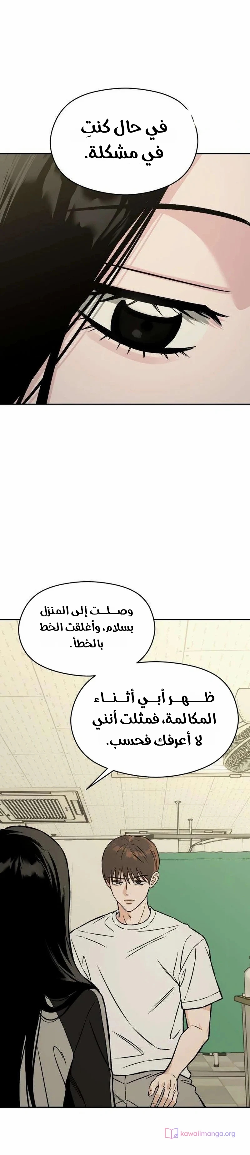 الصفحة 43