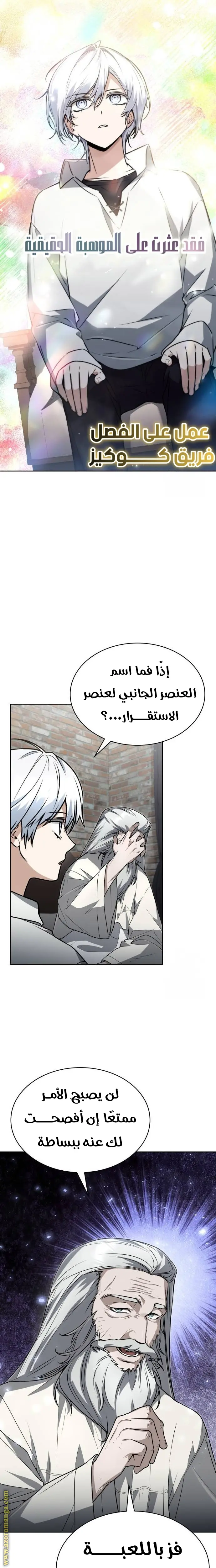 الصفحة 17