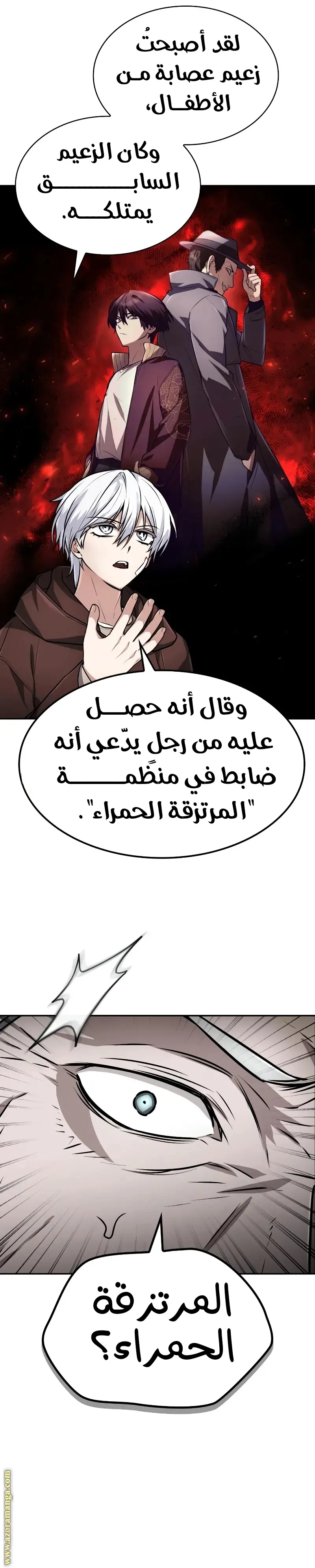 الصفحة 13