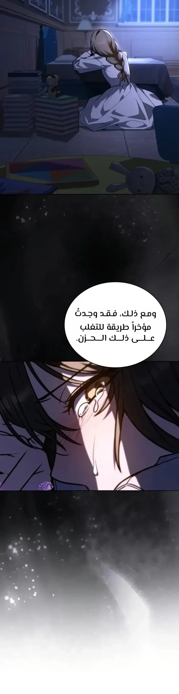 الصفحة 13
