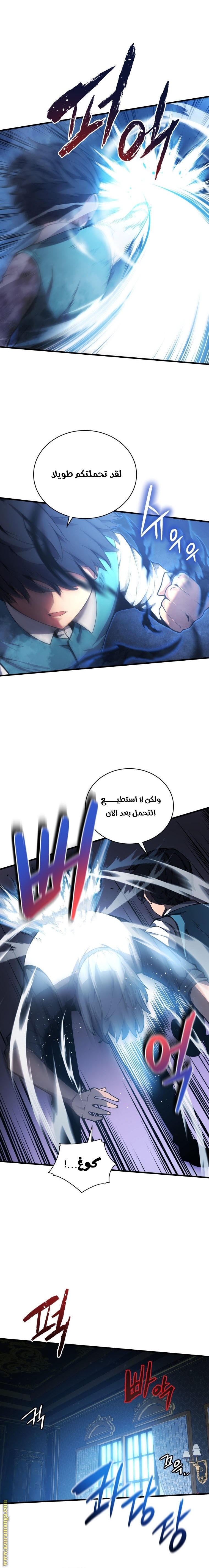 الصفحة 13