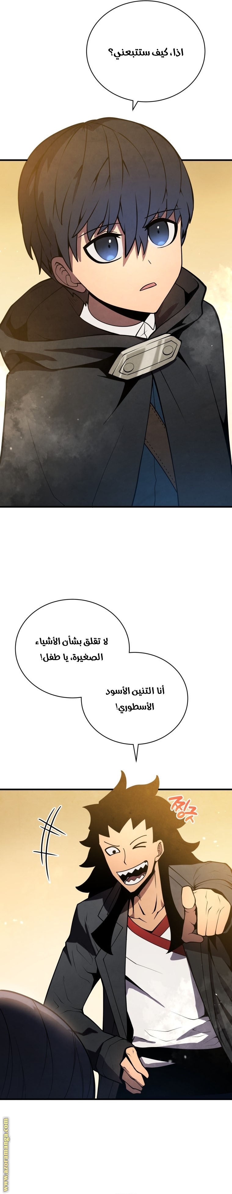 الصفحة 13