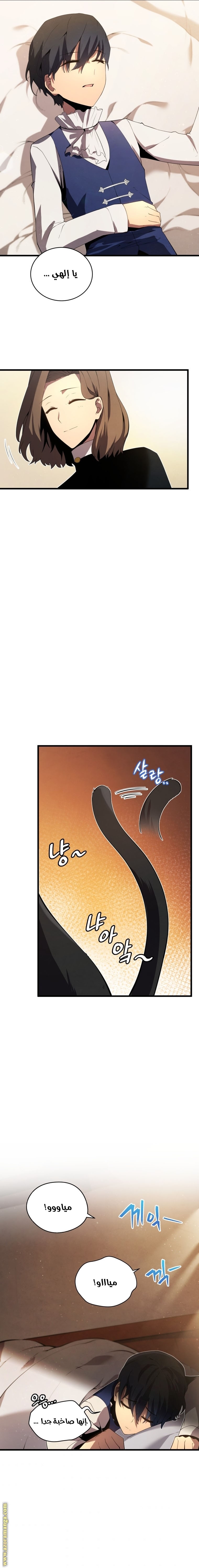 الصفحة 17