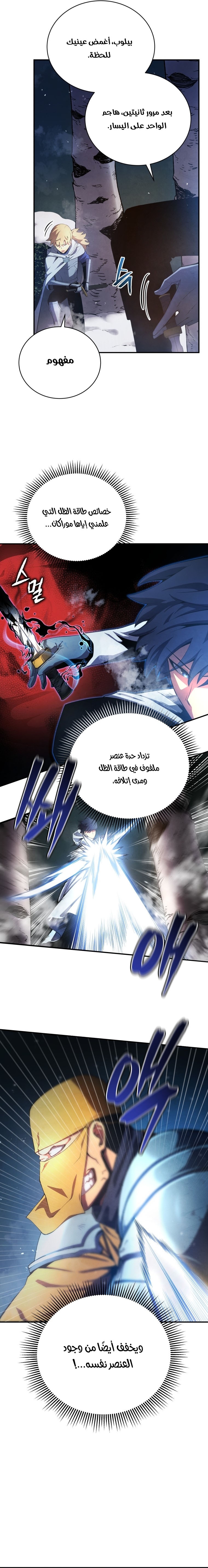 الصفحة 13