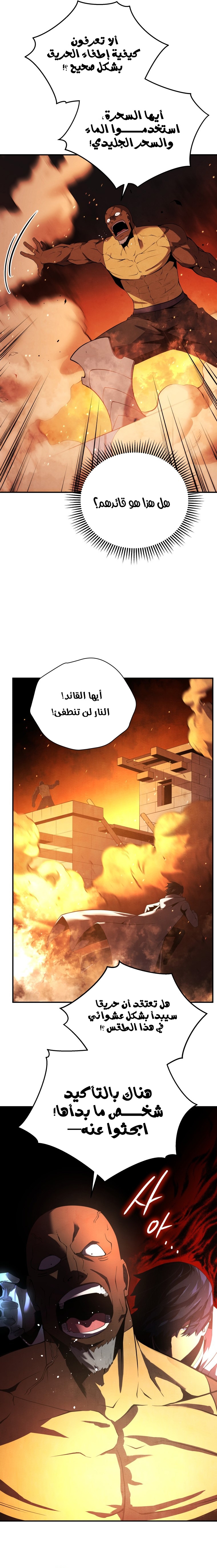 الصفحة 17