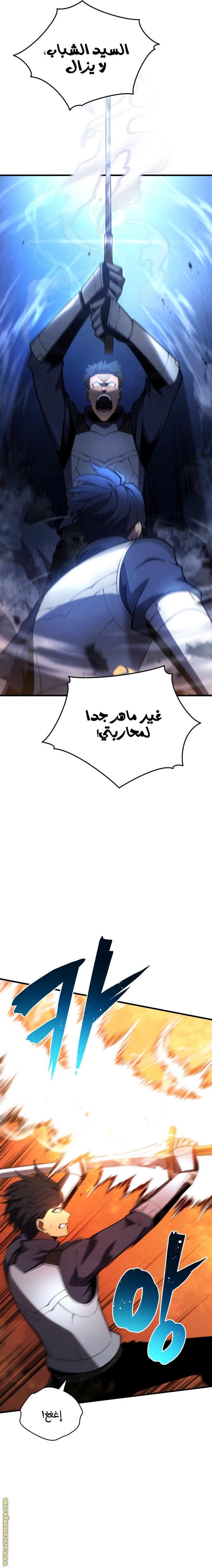 الصفحة 13