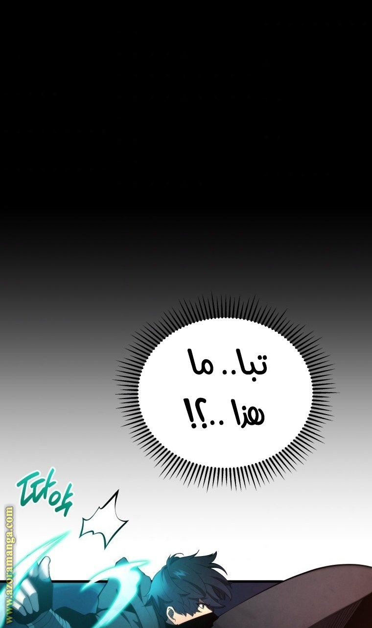 الصفحة 46