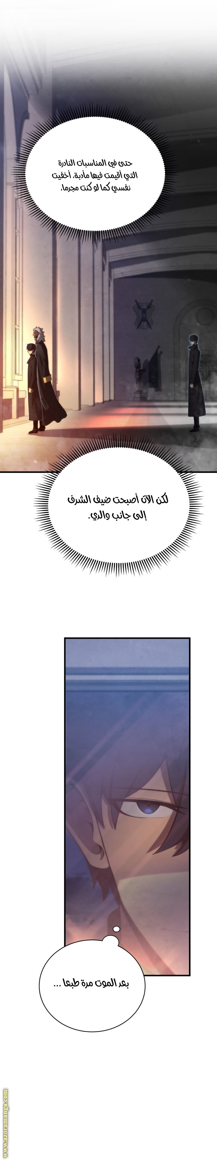 الصفحة 13