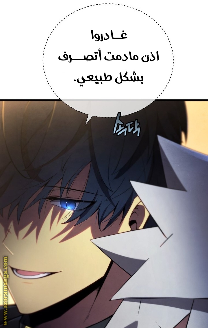 الصفحة 43