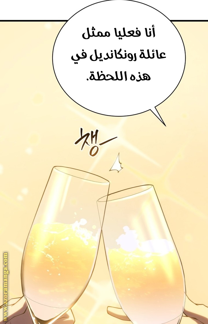 الصفحة 73