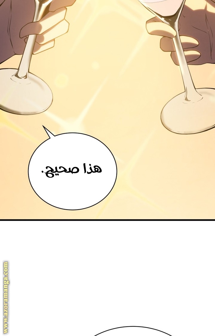 الصفحة 74