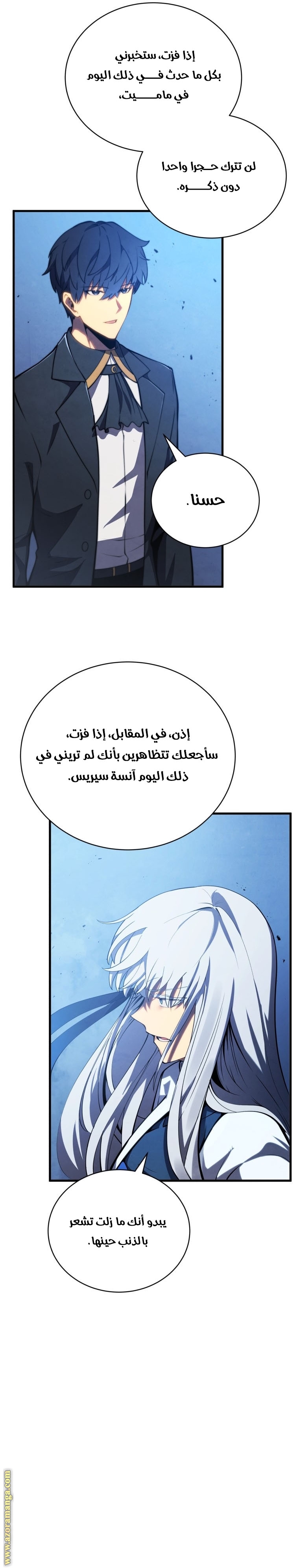 الصفحة 13