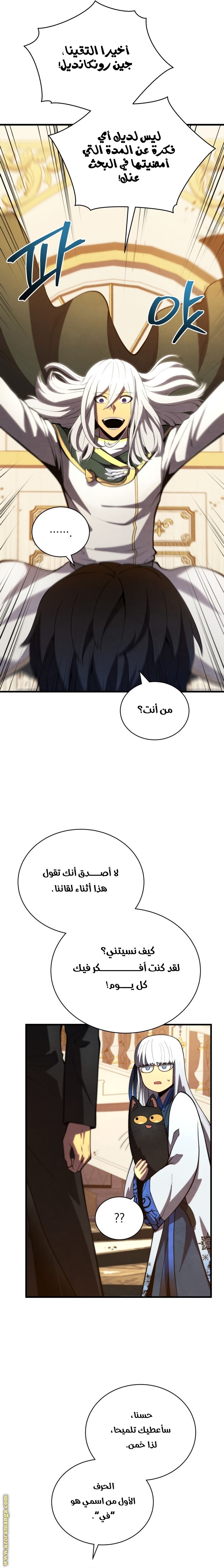 الصفحة 13