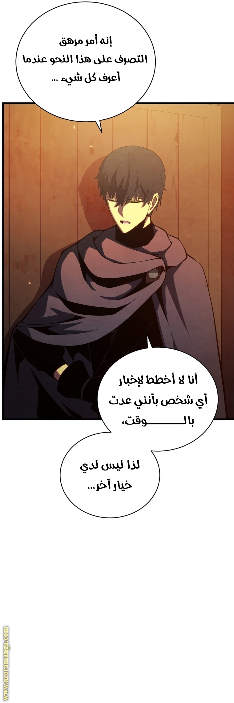 الصفحة 29