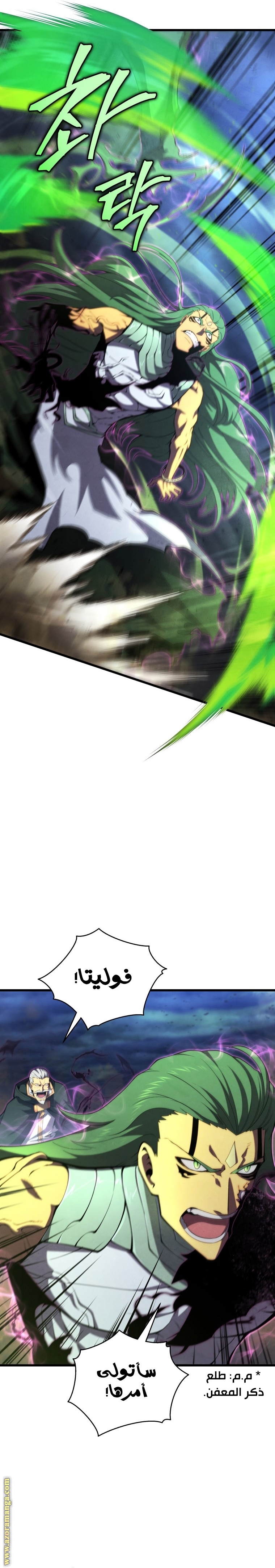 الصفحة 29