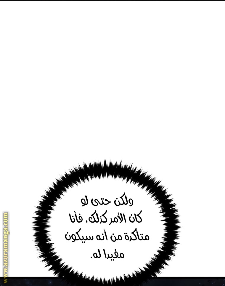 الصفحة 29