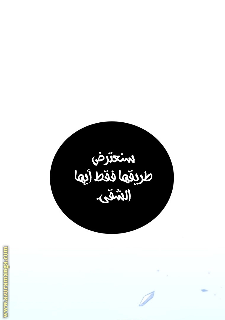 الصفحة 43