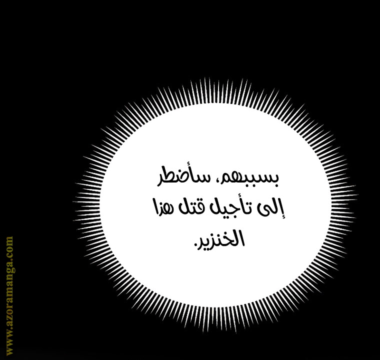 الصفحة 43