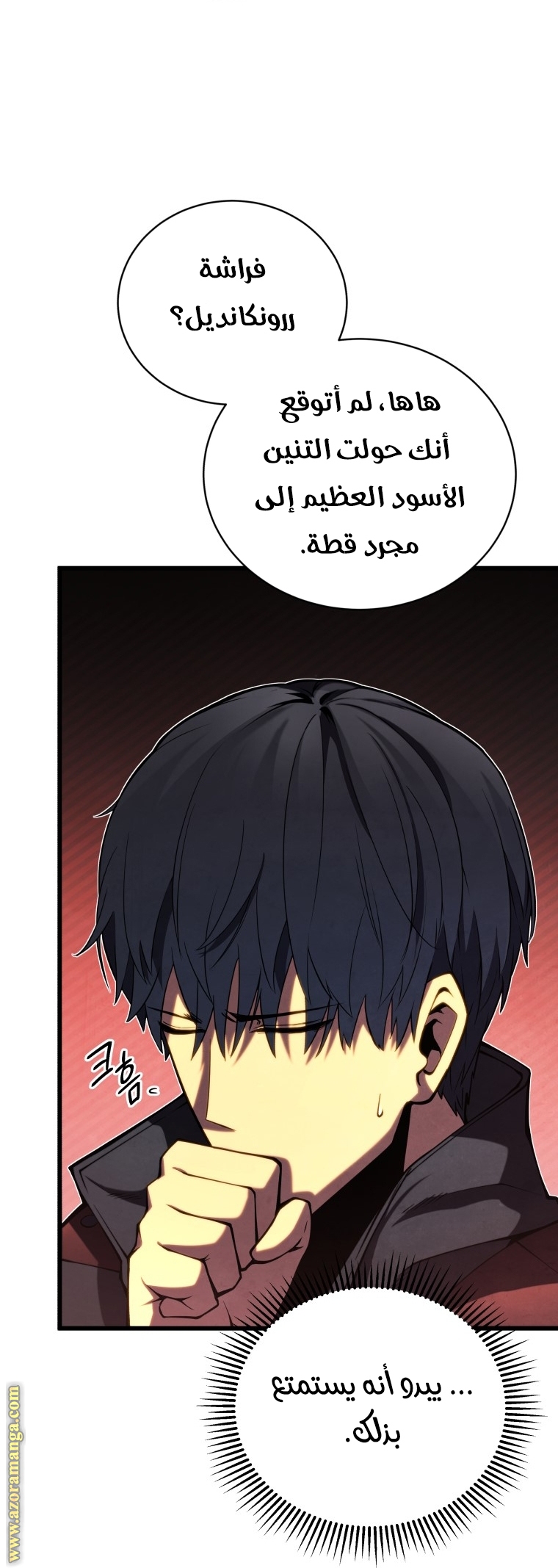 الصفحة 16