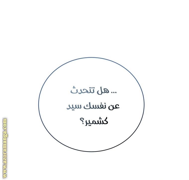 الصفحة 39