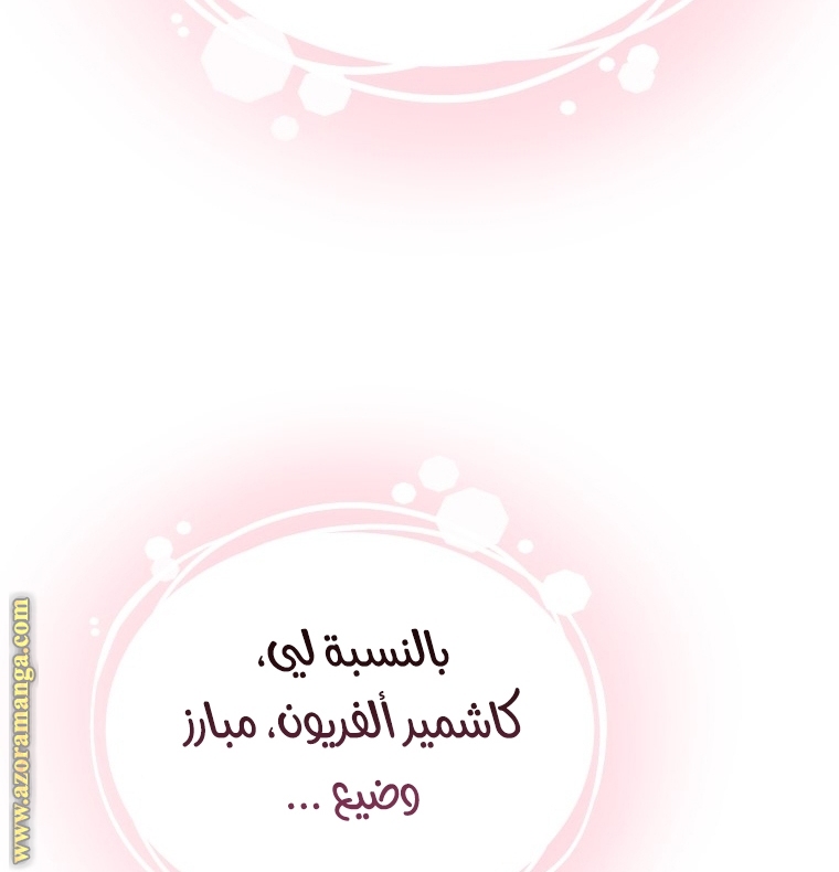 الصفحة 26