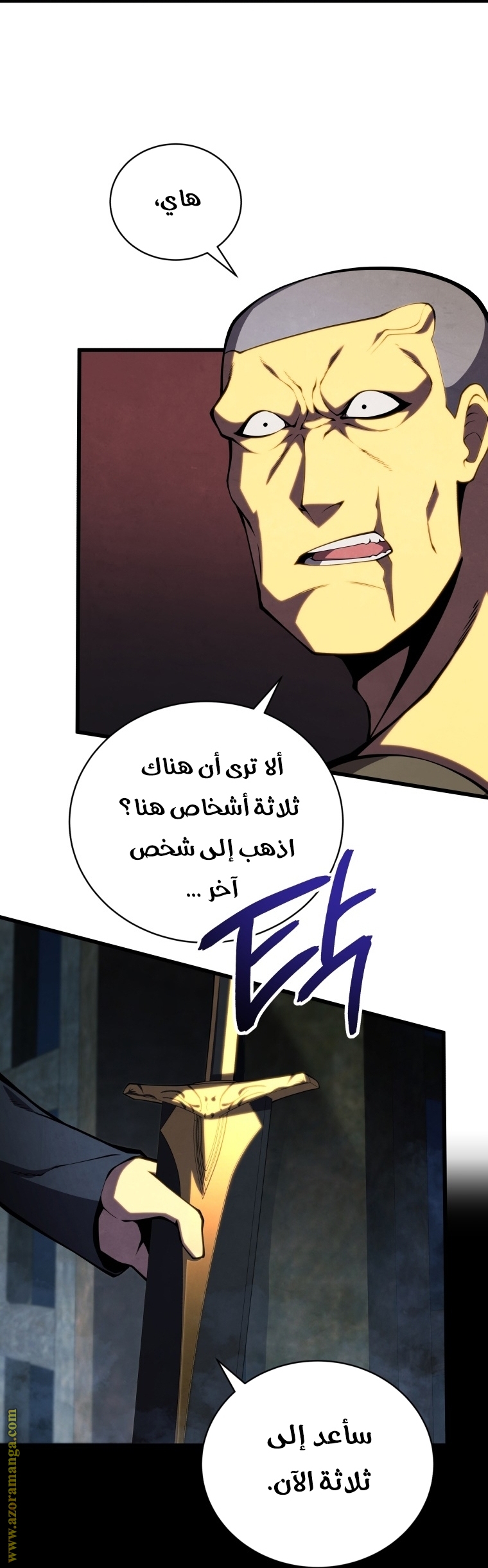 الصفحة 29