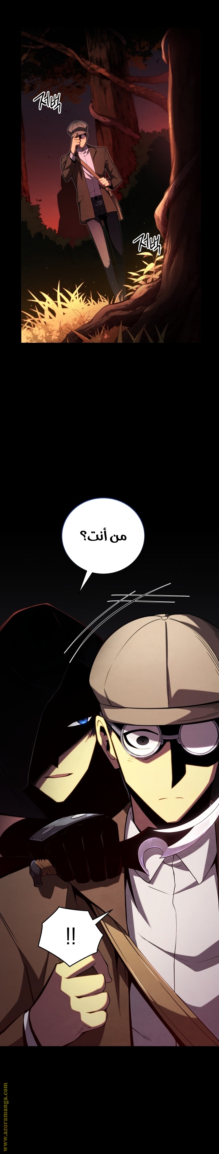 الصفحة 17