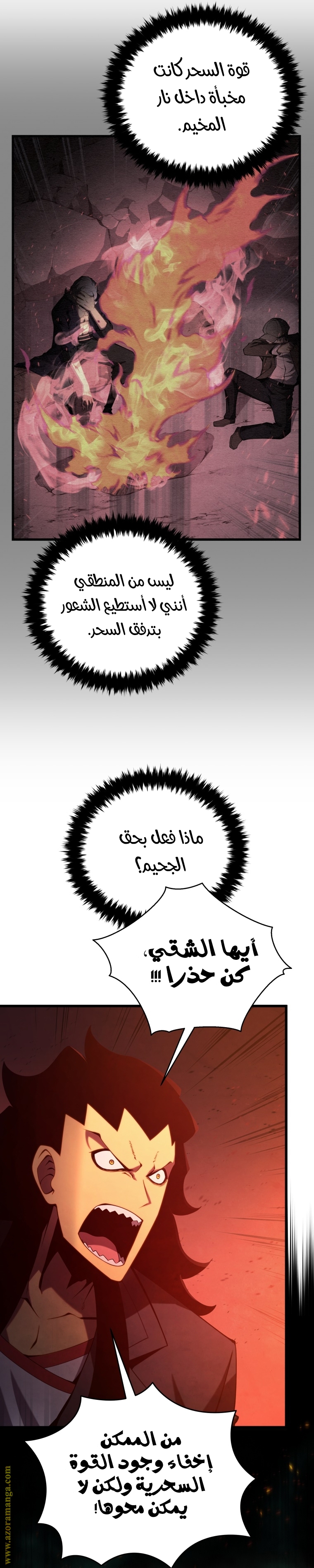 الصفحة 17