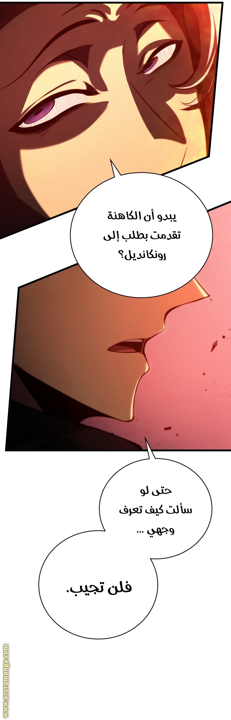 الصفحة 19