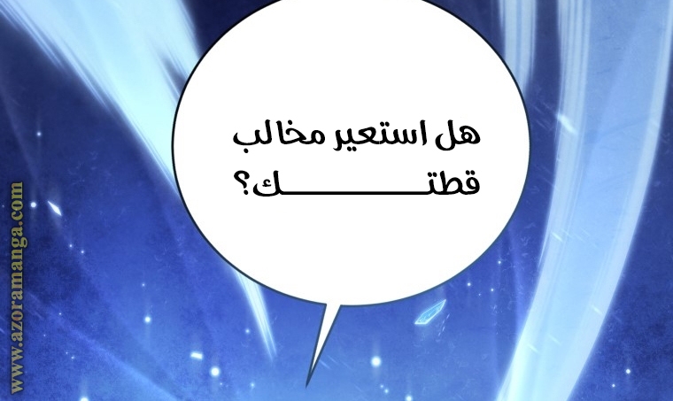 الصفحة 110