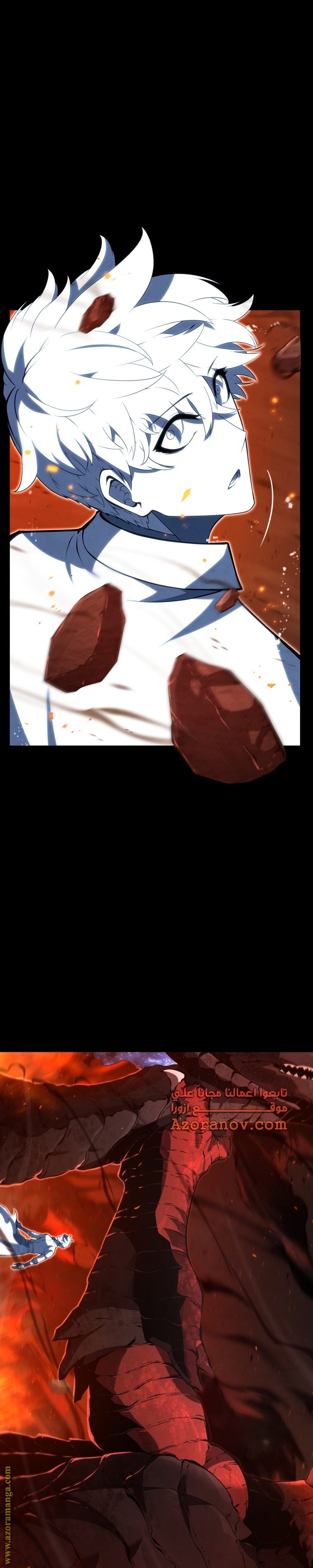 الصفحة 29